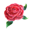 Fresh Rose S icon.png