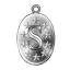 Shiny Medal S icon.png