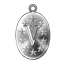 Victory Medal S icon.png