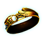 Holy Pact icon.png