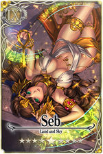 Seb card.jpg