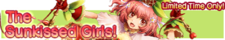 Sunkissed Girls Series banner.png