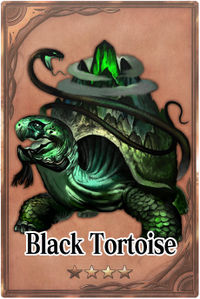 Black Tortoise m card.jpg
