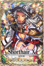 Shorthair mlb card.jpg