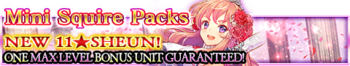 Mini Squire Packs banner.png
