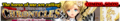 The Fantasica Chronicles 7 announcement banner.png