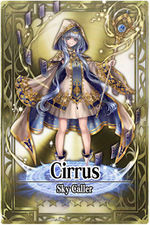 Cirrus card.jpg
