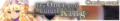The Once and Future King announcement banner.png